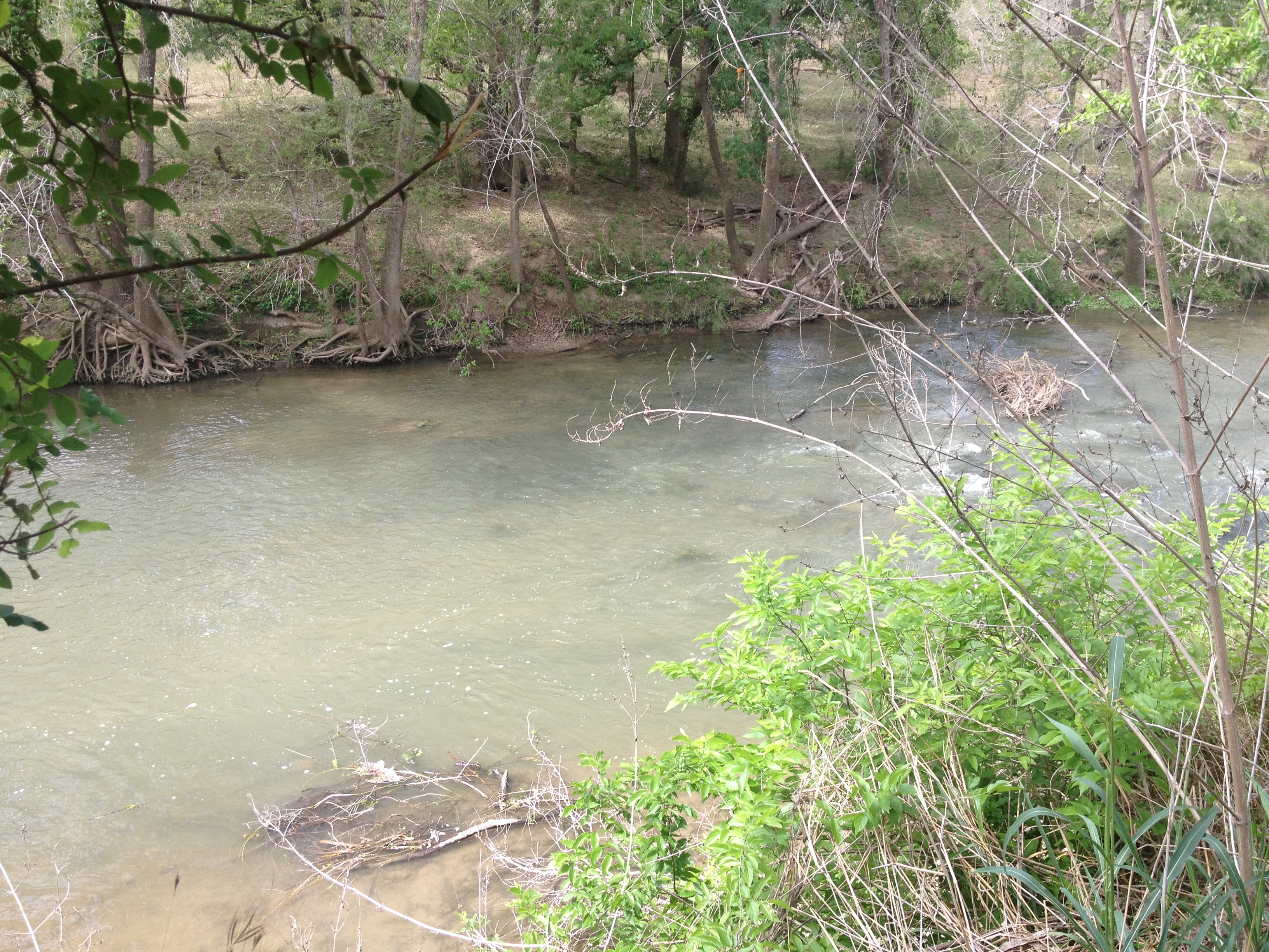 April 27 Cibolo Creek